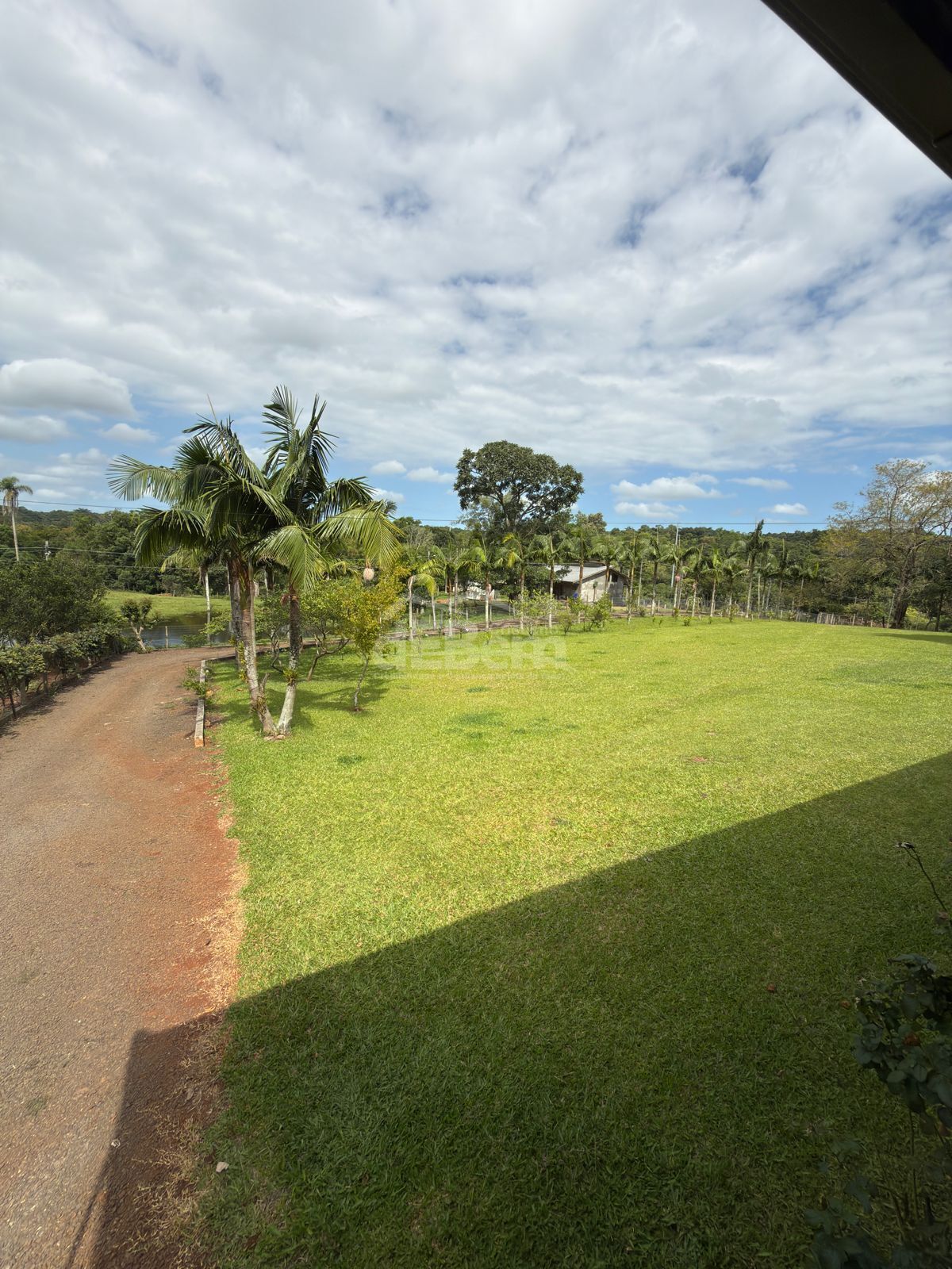 Sítio, 3 quartos, 6 hectares - Foto 4