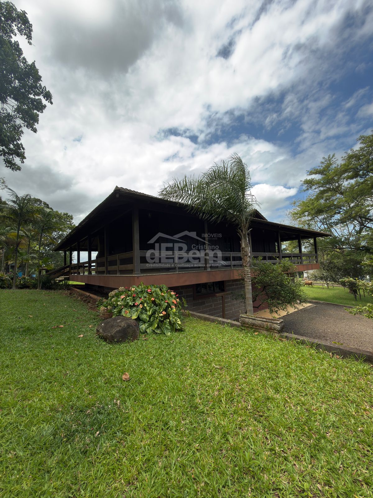 Sítio, 3 quartos, 6 hectares - Foto 1