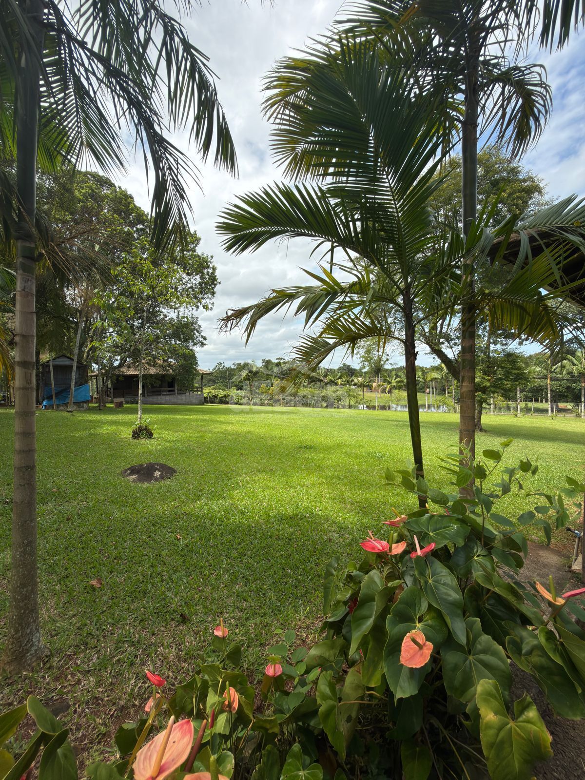 Sítio, 3 quartos, 6 hectares - Foto 25