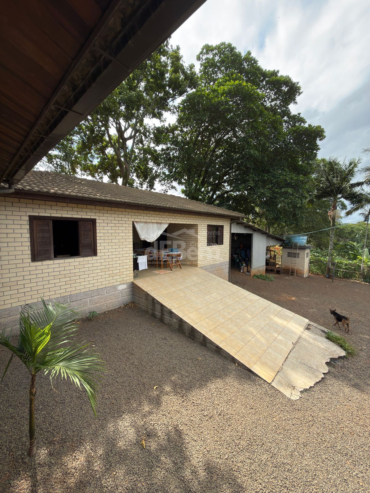 Sítio, 3 quartos, 6 hectares - Foto 5