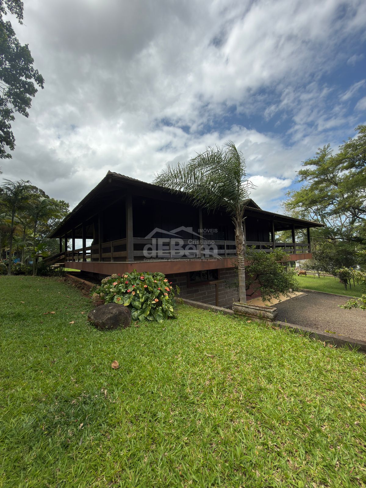 Sítio, 3 quartos, 6 hectares - Foto 23