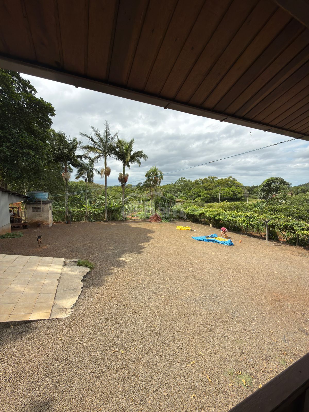 Sítio, 3 quartos, 6 hectares - Foto 3