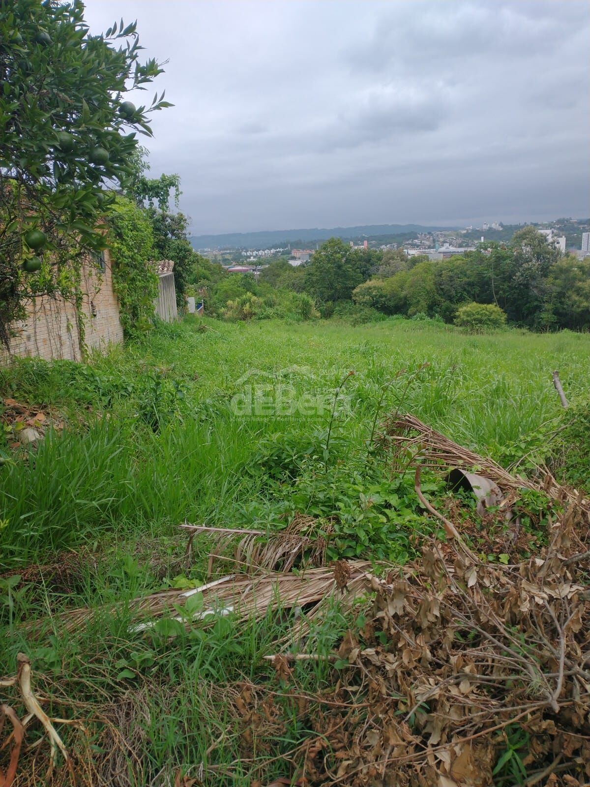 Terreno, 494 hectares - Foto 8