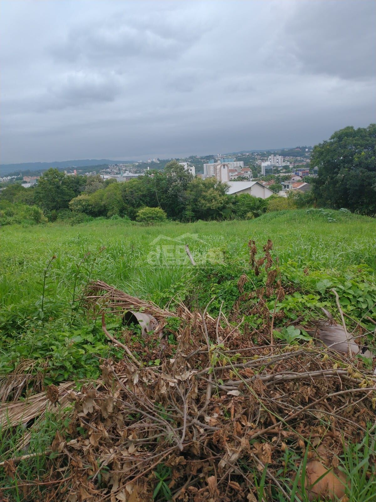 Terreno, 494 hectares - Foto 6