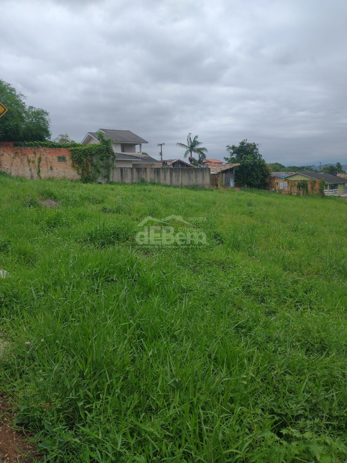Terreno, 494 hectares - Foto 4