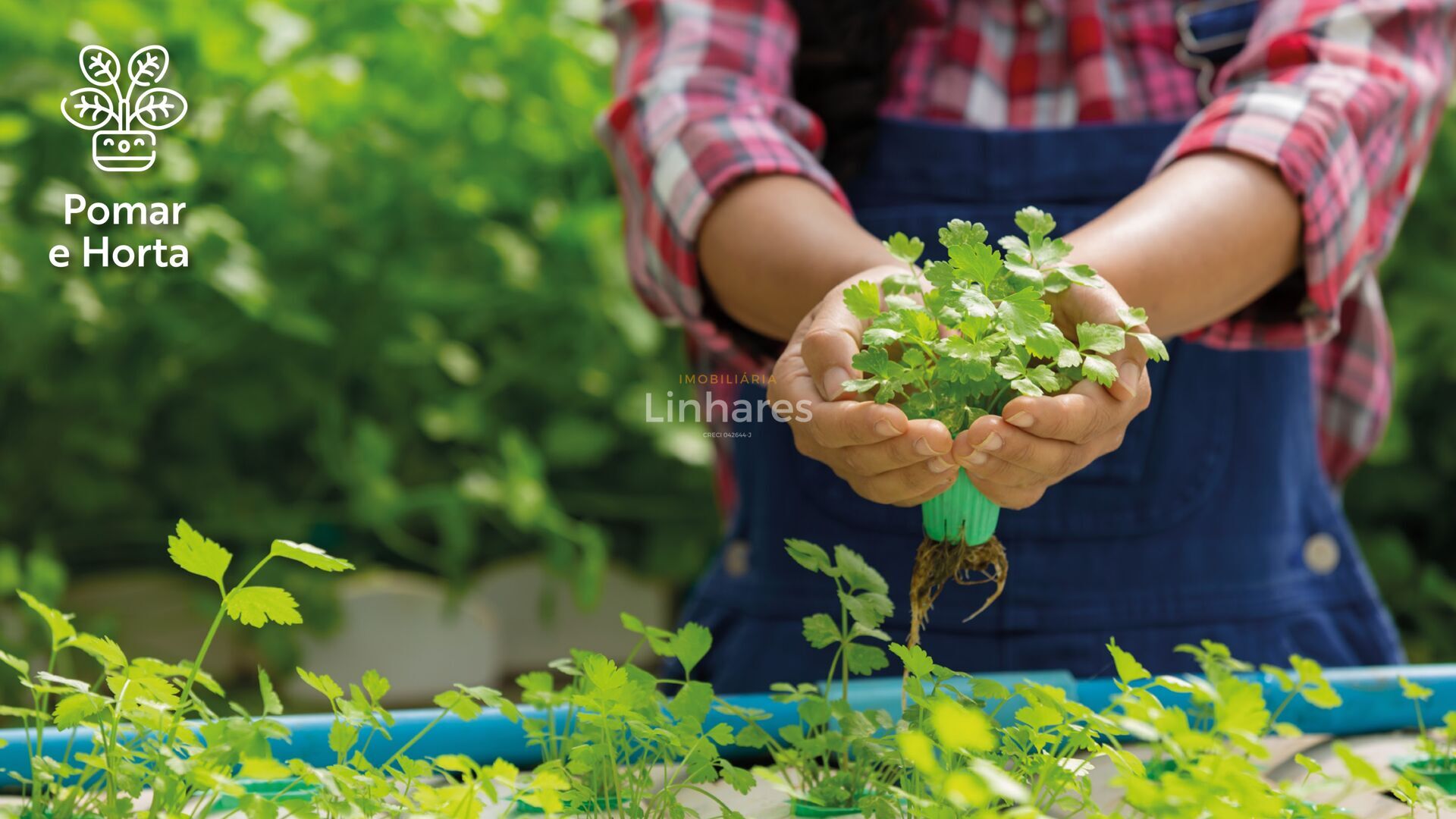 Terreno, 160 m² - Foto 24