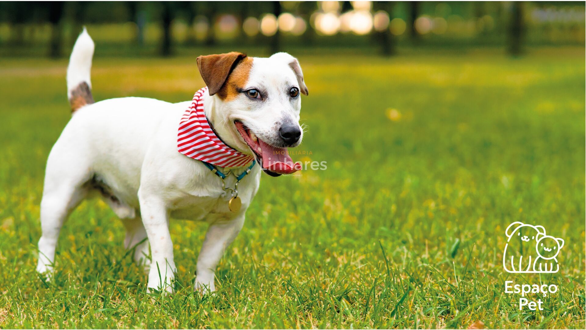 Terreno, 160 m² - Foto 23