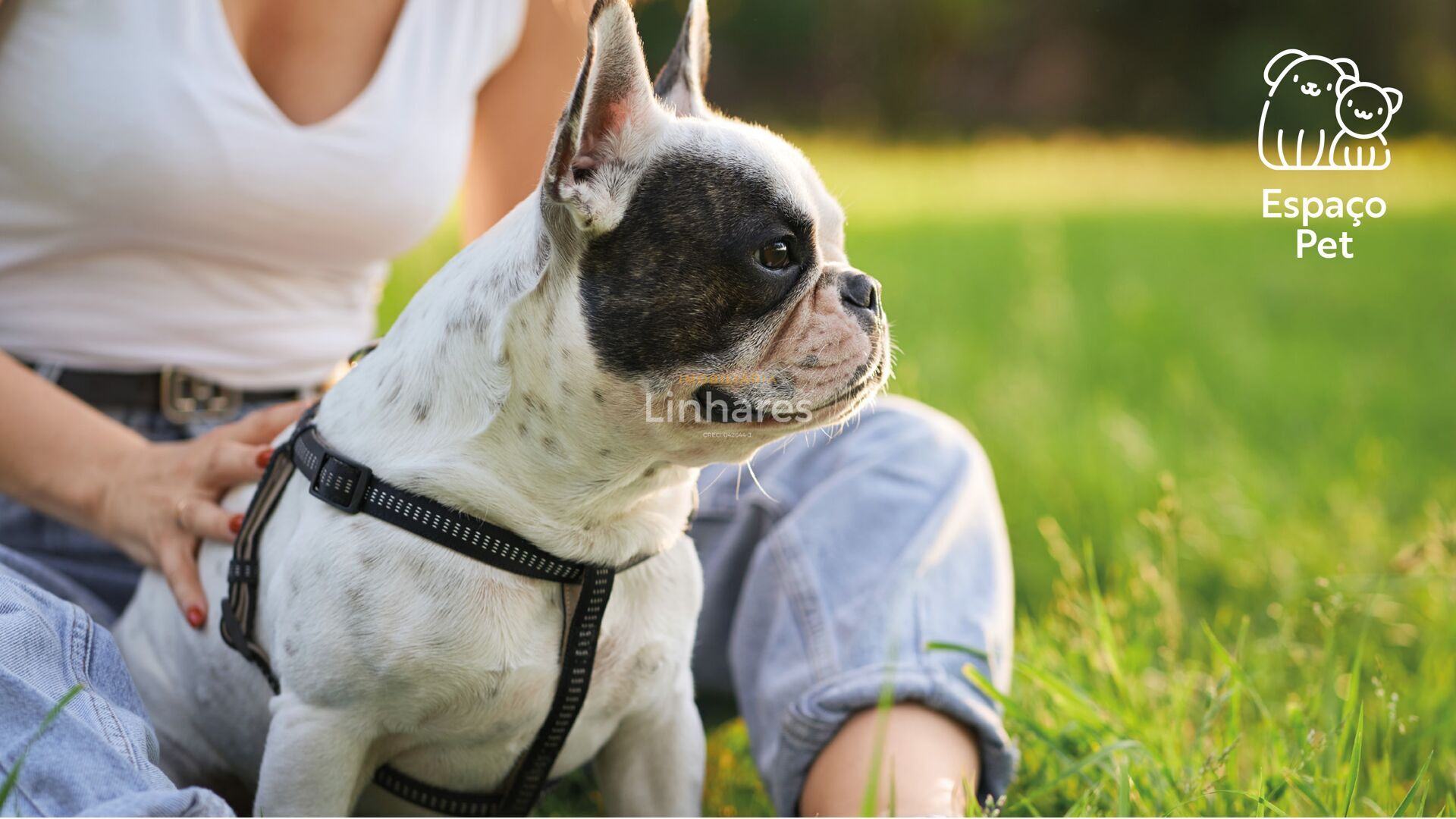 Terreno, 160 m² - Foto 18