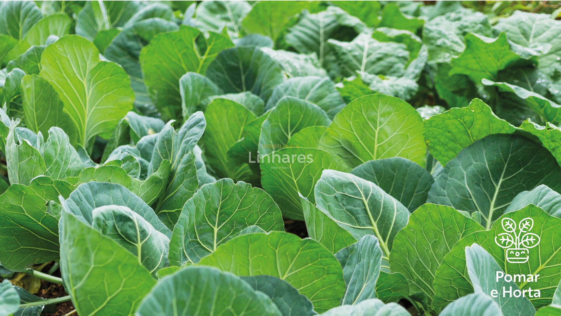 Terreno, 160 m² - Foto 19