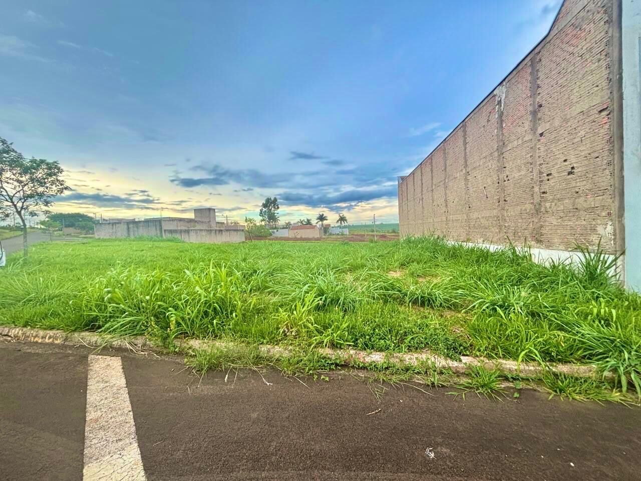 Terreno, 250 m² - Foto 1