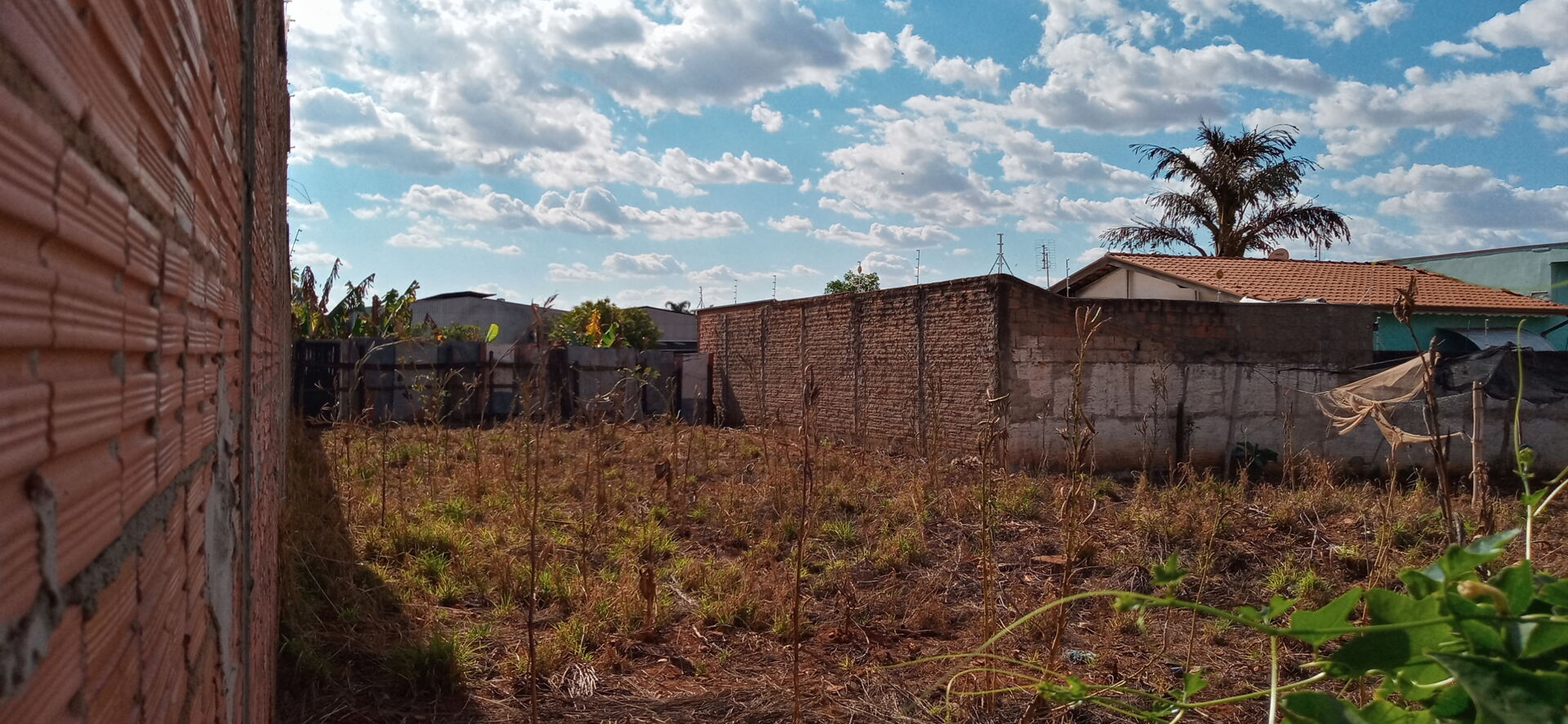 Terreno à venda, 250m² - Foto 2