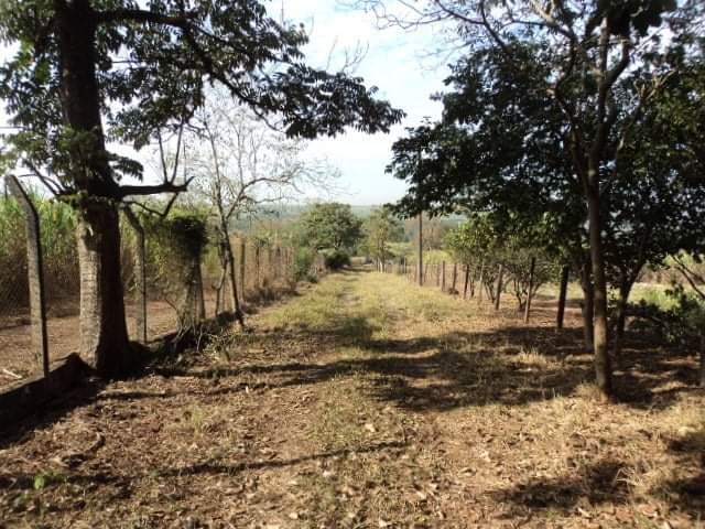 Chácara, 9 hectares - Foto 1