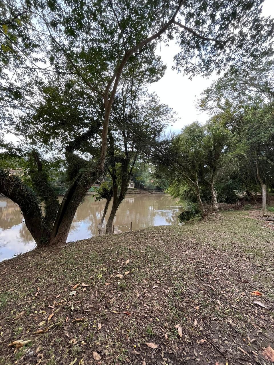 Fazenda à venda com 2 quartos, 385m² - Foto 3