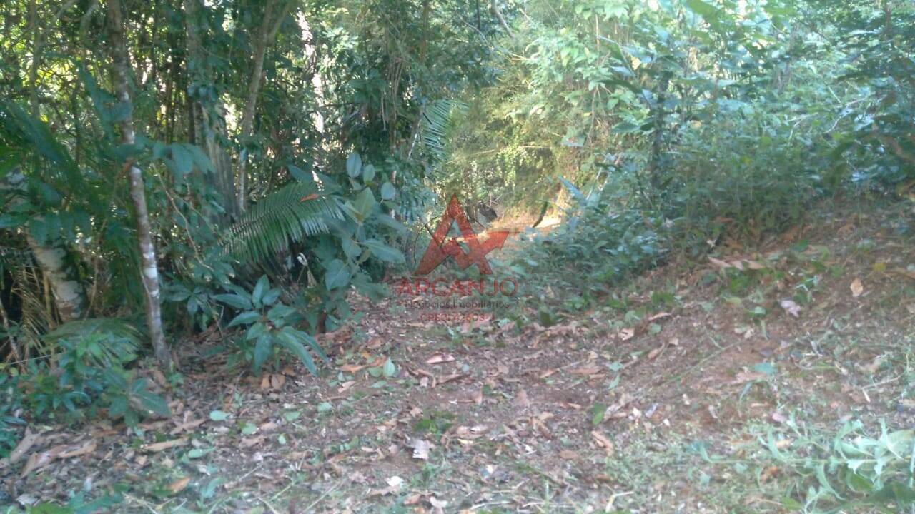 Terreno, 974 m² - Foto 13