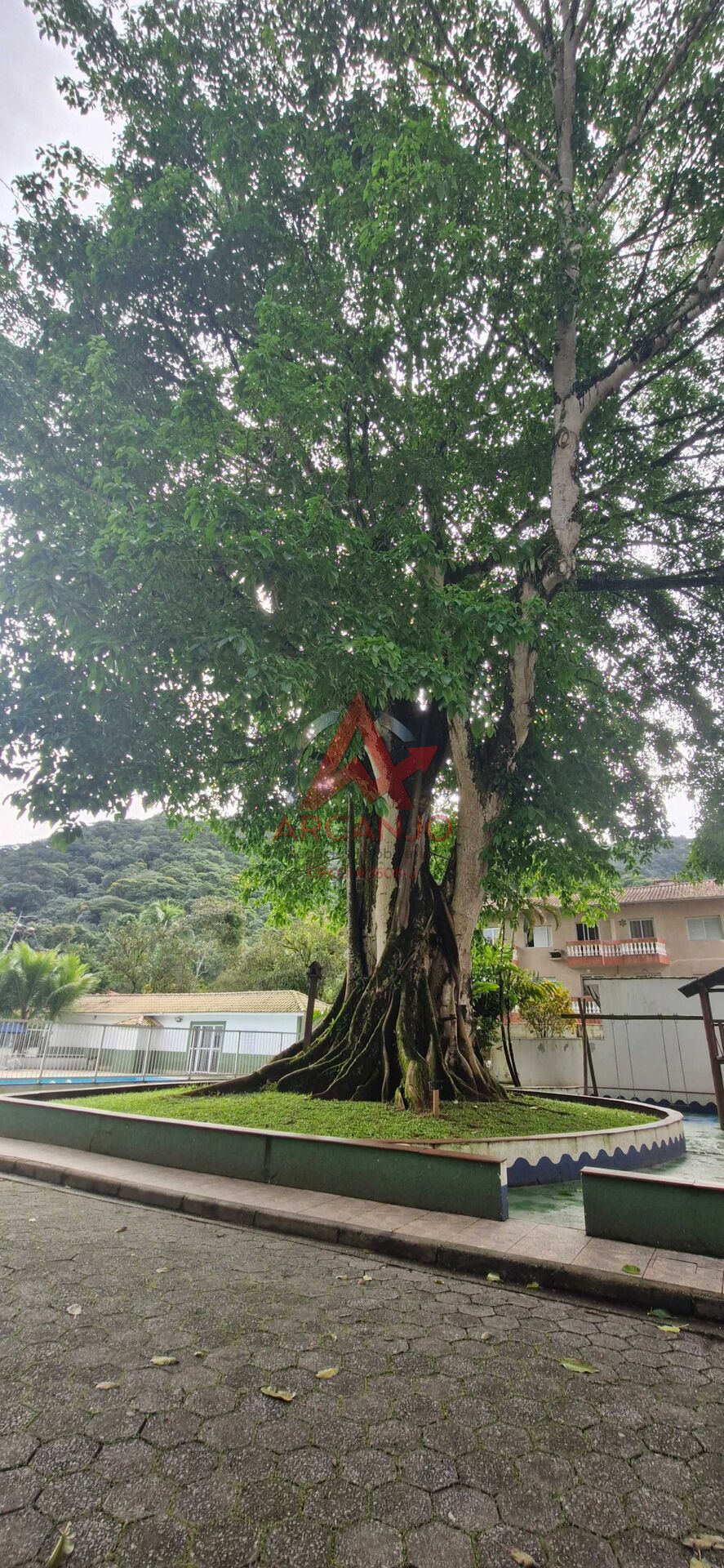 Apartamento, 3 quartos, 80 m² - Foto 28