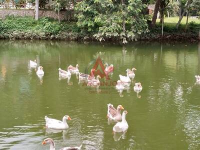 Terreno, 1170 m² - Foto 17