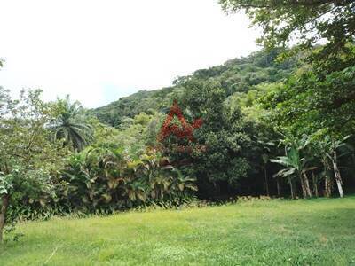 Terreno, 1170 m² - Foto 10