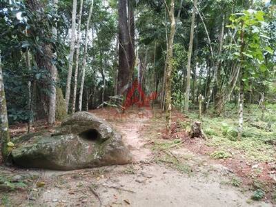 Terreno, 1170 m² - Foto 11