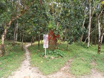 Terreno, 1170 m² - Foto 9