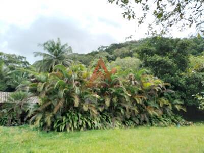 Terreno, 1170 m² - Foto 7