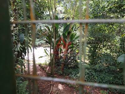 Terreno, 1170 m² - Foto 13