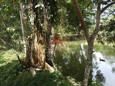 Terreno, 1170 m² - Foto 5