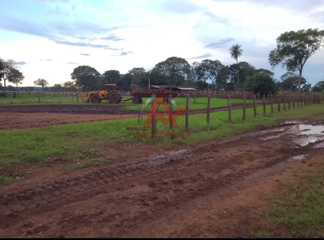 Fazenda, 3320 hectares - Foto 16