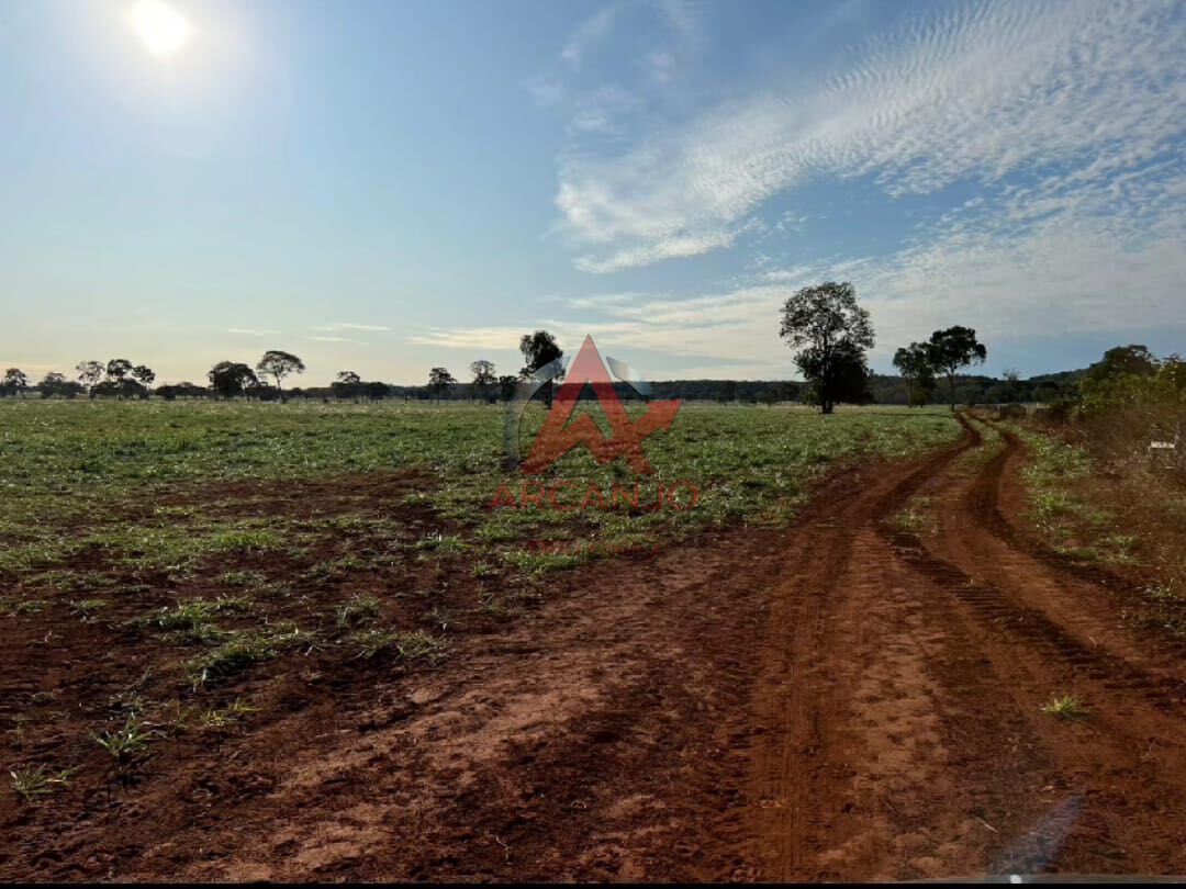 Fazenda, 3320 hectares - Foto 11