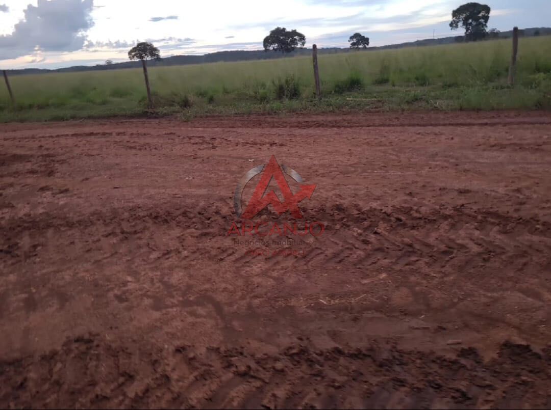 Fazenda, 3320 hectares - Foto 4