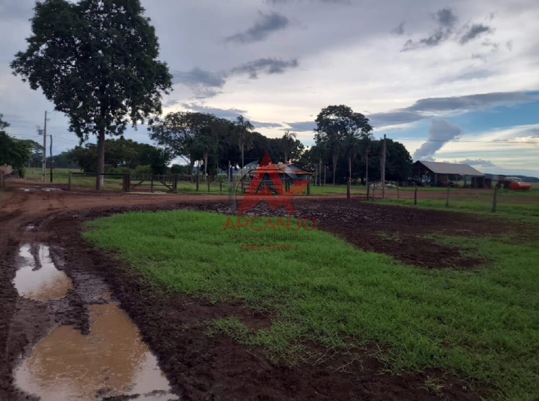 Fazenda, 3320 hectares - Foto 14