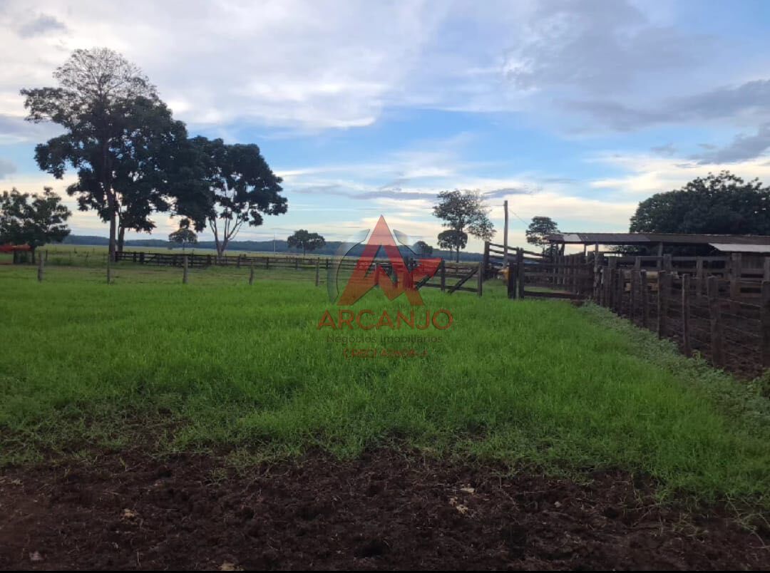 Fazenda, 3320 hectares - Foto 13