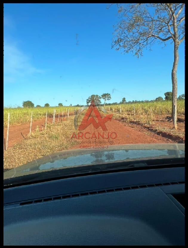 Fazenda, 3320 hectares - Foto 12