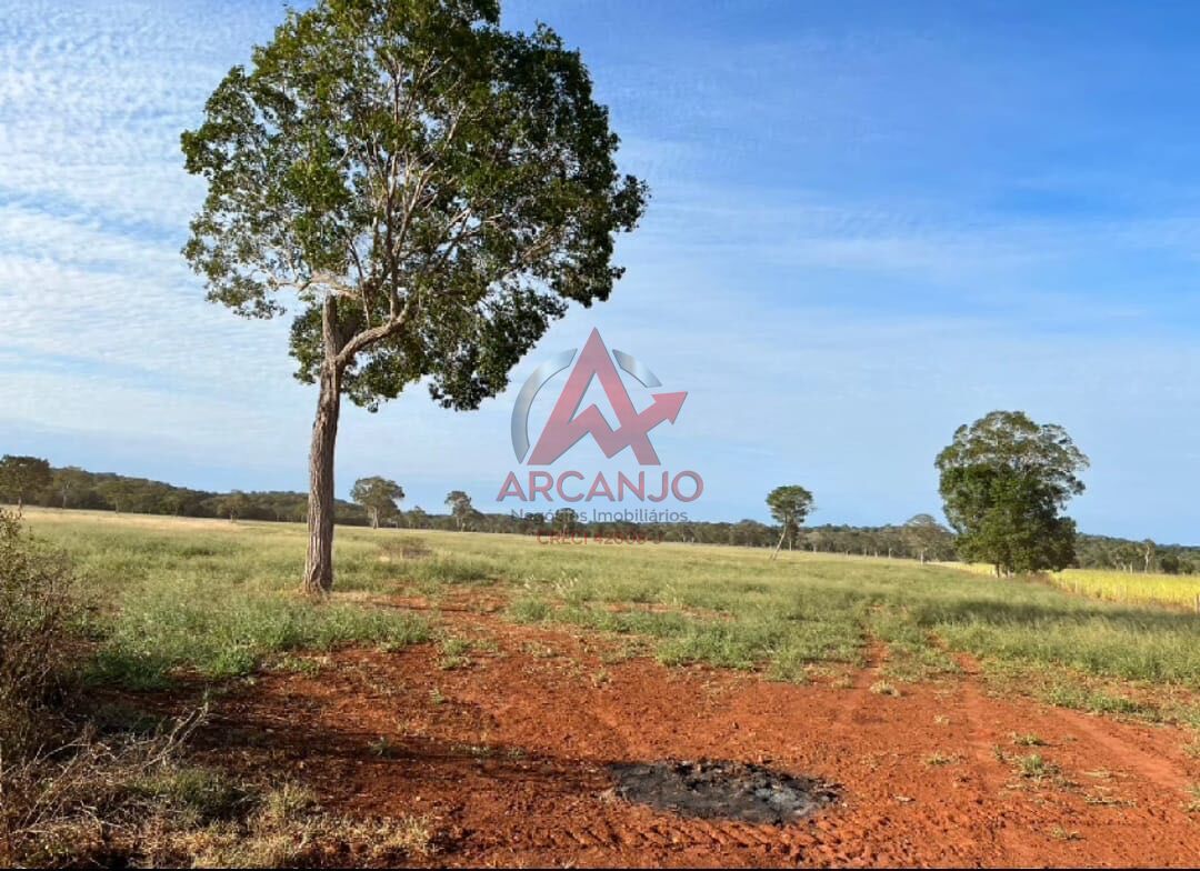 Fazenda, 3320 hectares - Foto 10