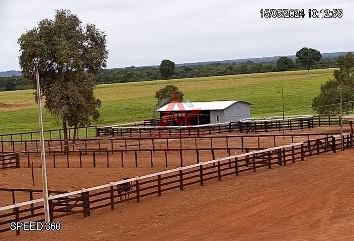 Fazenda, 3320 hectares - Foto 1