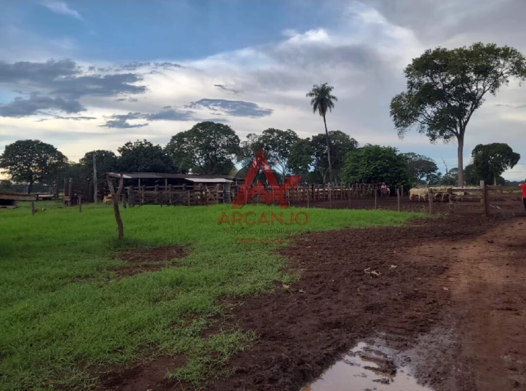 Fazenda, 3320 hectares - Foto 5