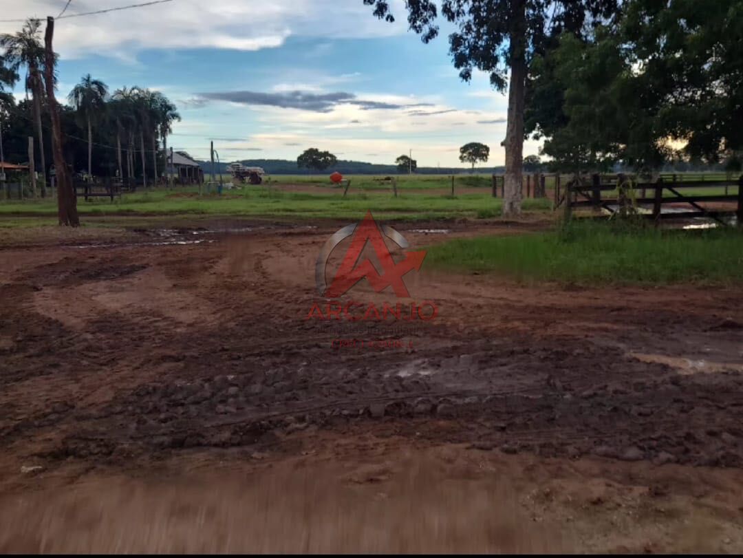 Fazenda, 3320 hectares - Foto 15