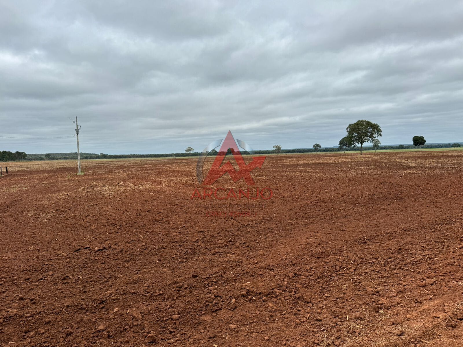 Fazenda, 3320 hectares - Foto 18