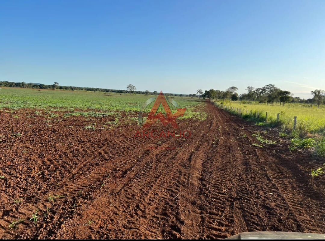 Fazenda, 3320 hectares - Foto 7