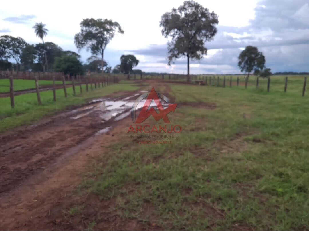 Fazenda, 3320 hectares - Foto 17