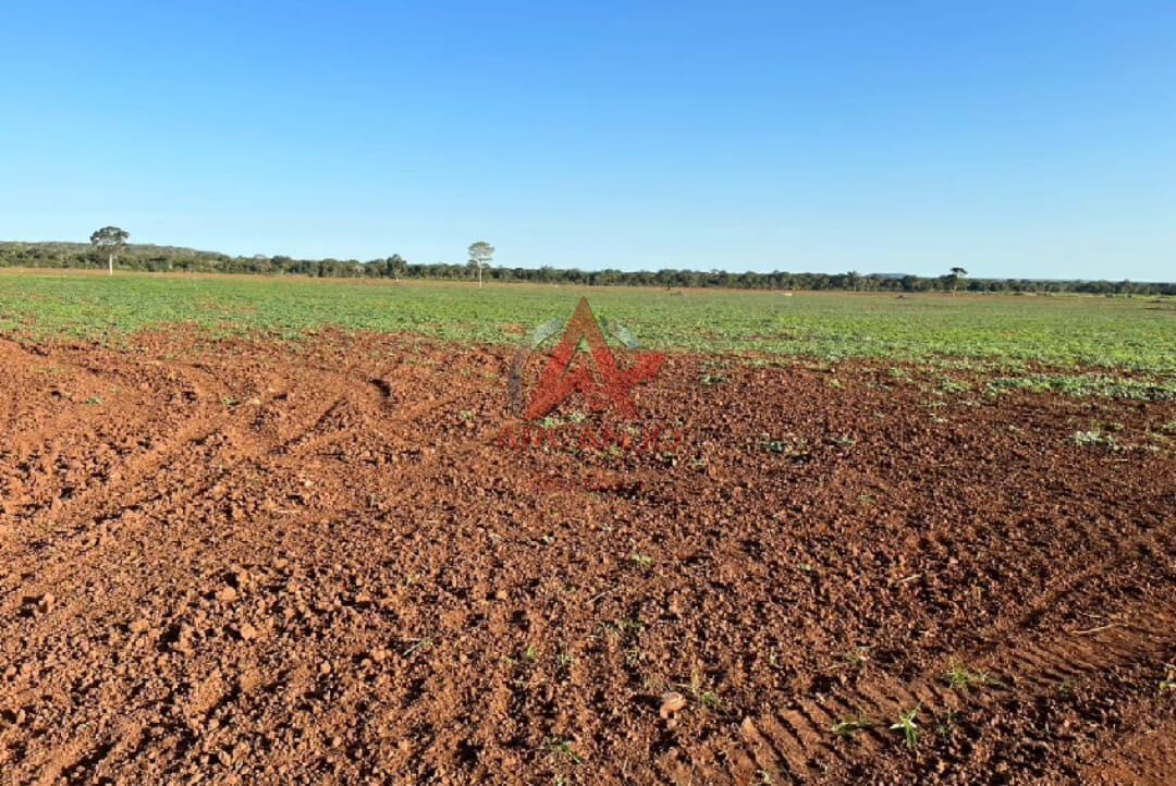 Fazenda, 3320 hectares - Foto 6