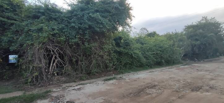 Terreno, 515 m² - Foto 5