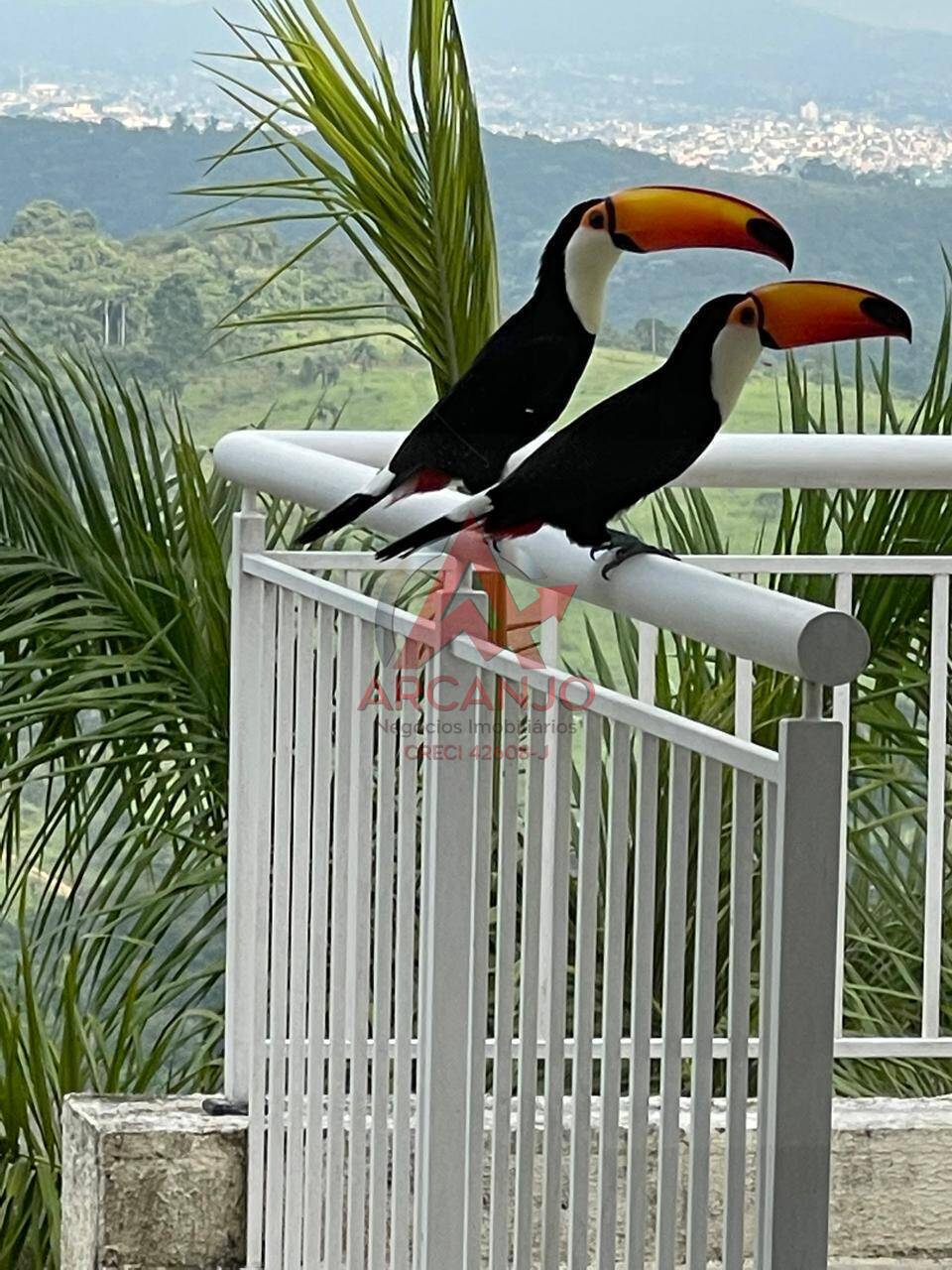 Casa, 13 quartos, 4189 m² - Foto 49