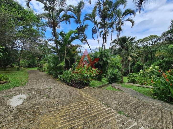 Casa, 5 quartos, 181 m² - Foto 33