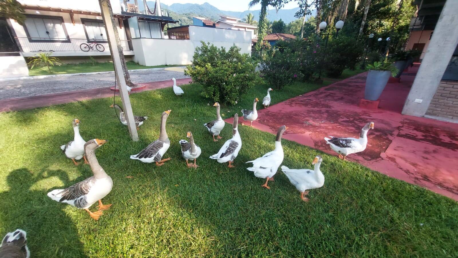 Casa de Condomínio, 3 quartos - Foto 45