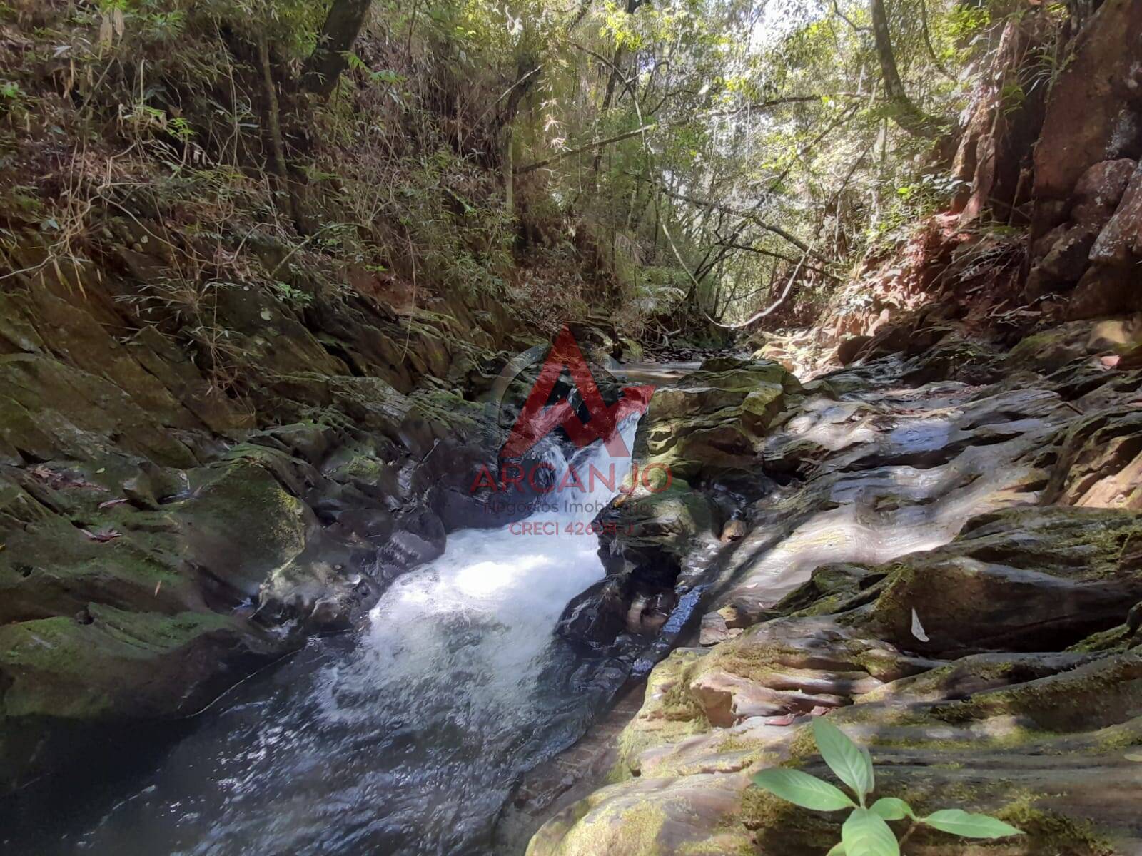 Depósito-Galpão, 1000 m² - Foto 50