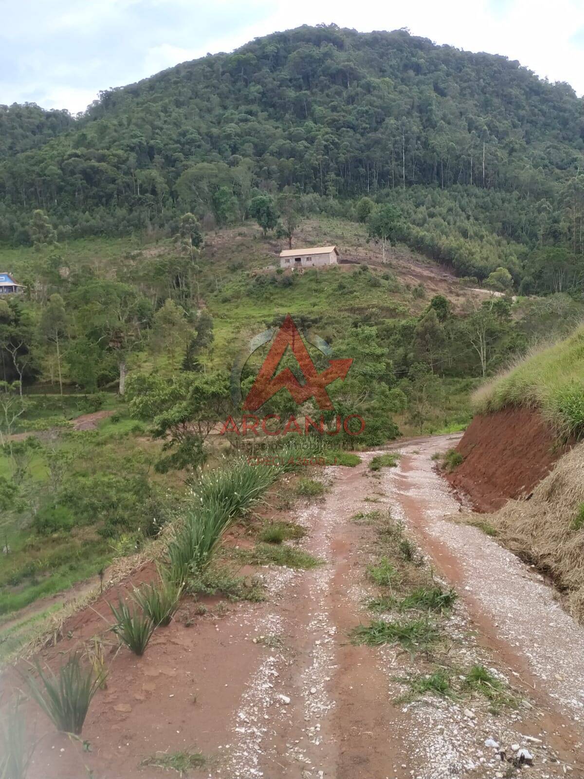 Sítio, 1 quarto, 40 m² - Foto 5