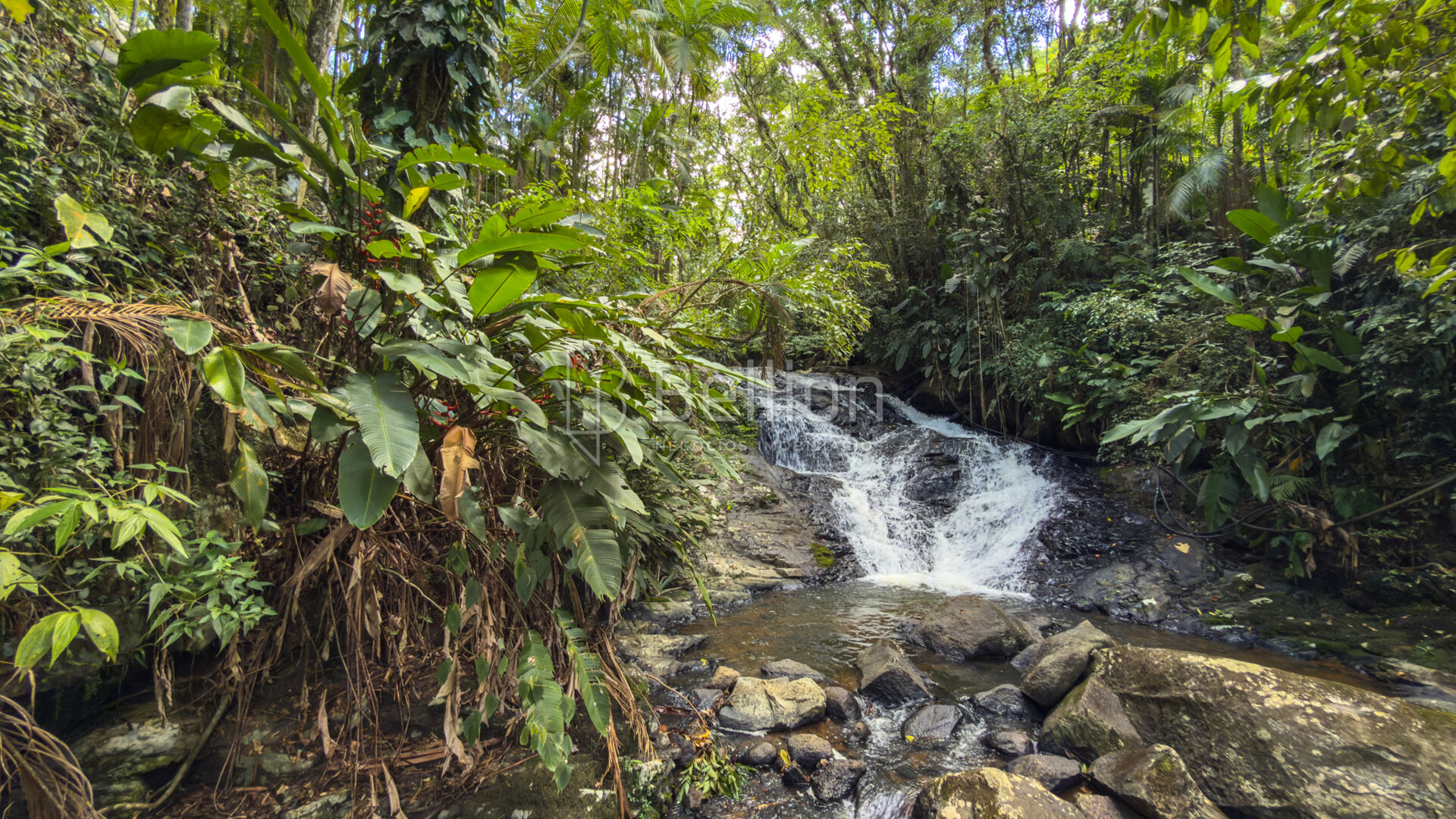Sítio encantador em Rio dos Cedros - Bairro Rio Cunha — foto 3