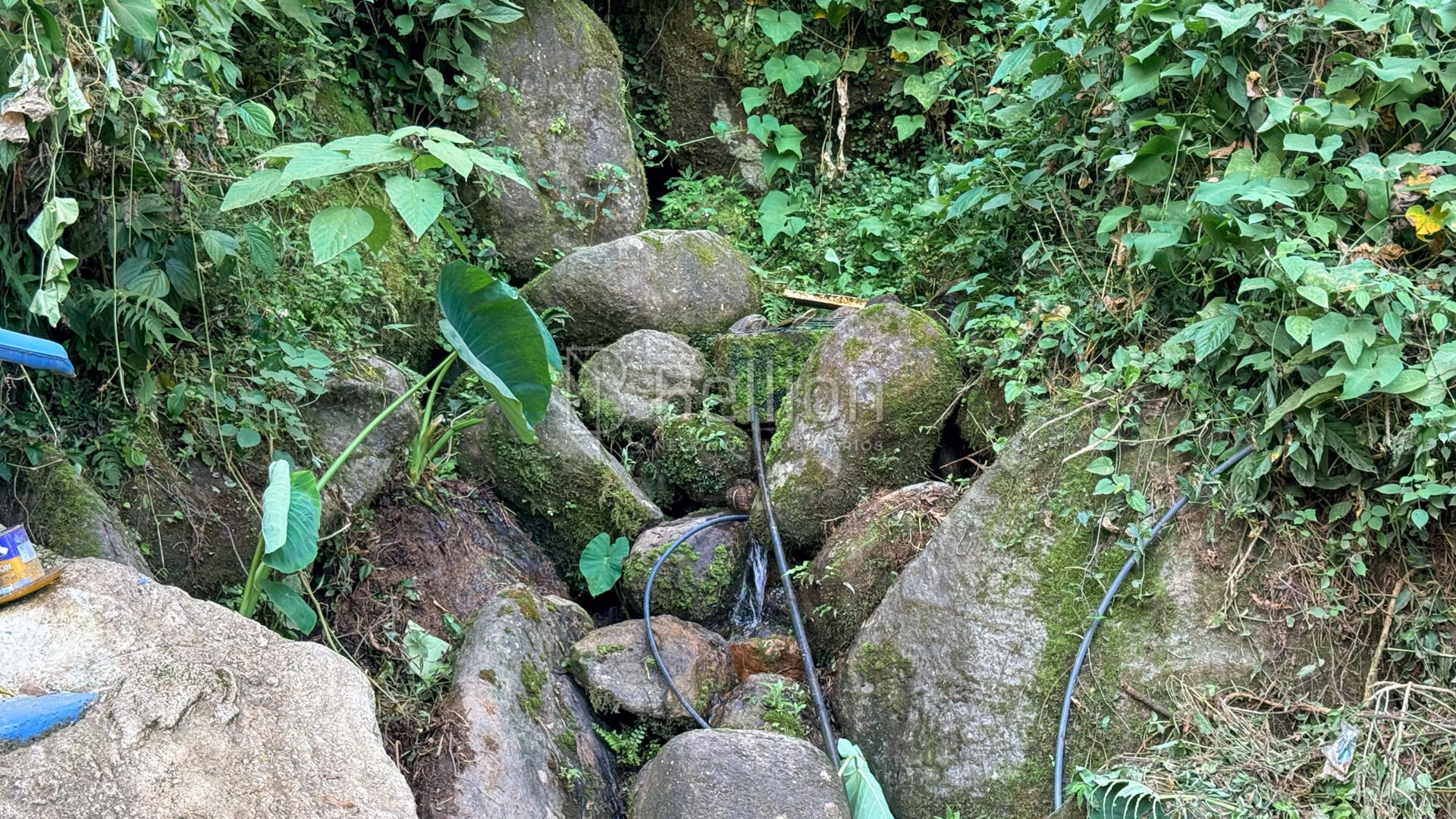 Terreno à venda em Rio dos Cedros - 45.000 m com potencial para sítio ou cabanas — foto 3