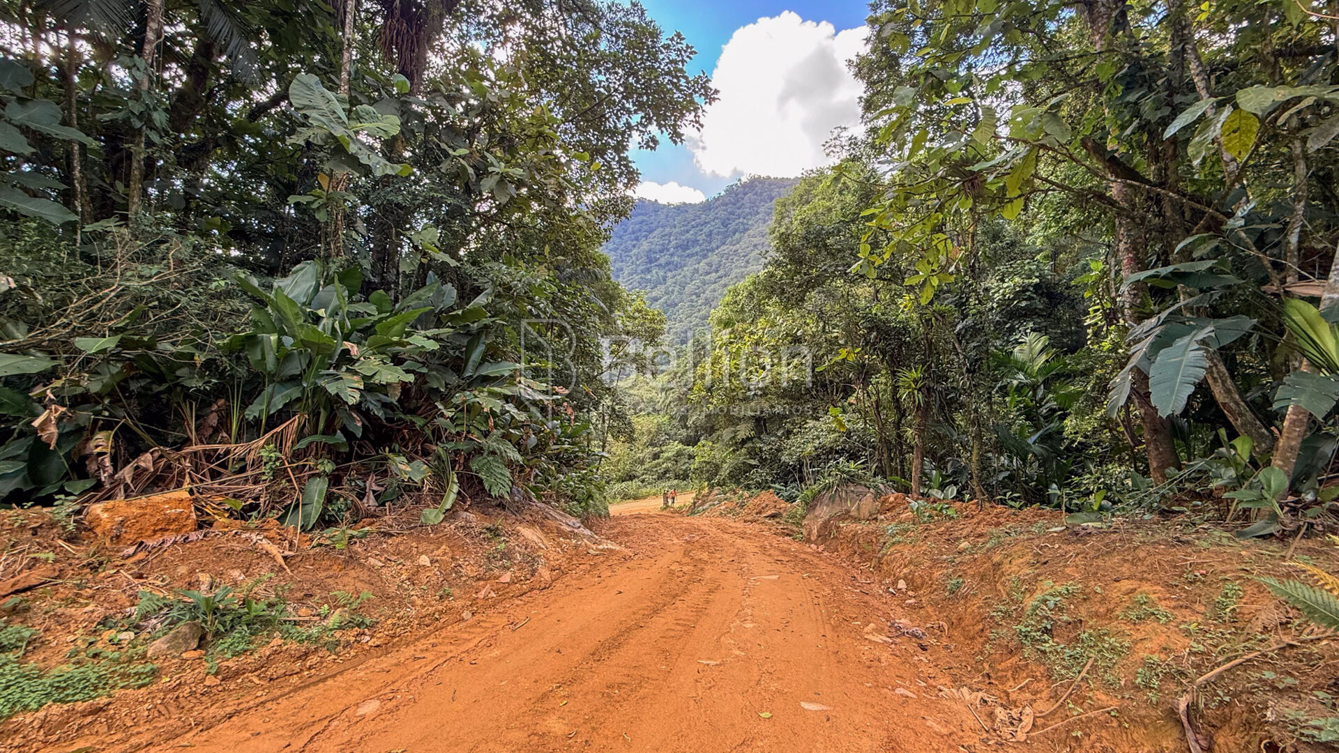Terreno à venda em Rio dos Cedros - 45.000 m com potencial para sítio ou cabanas — foto 5