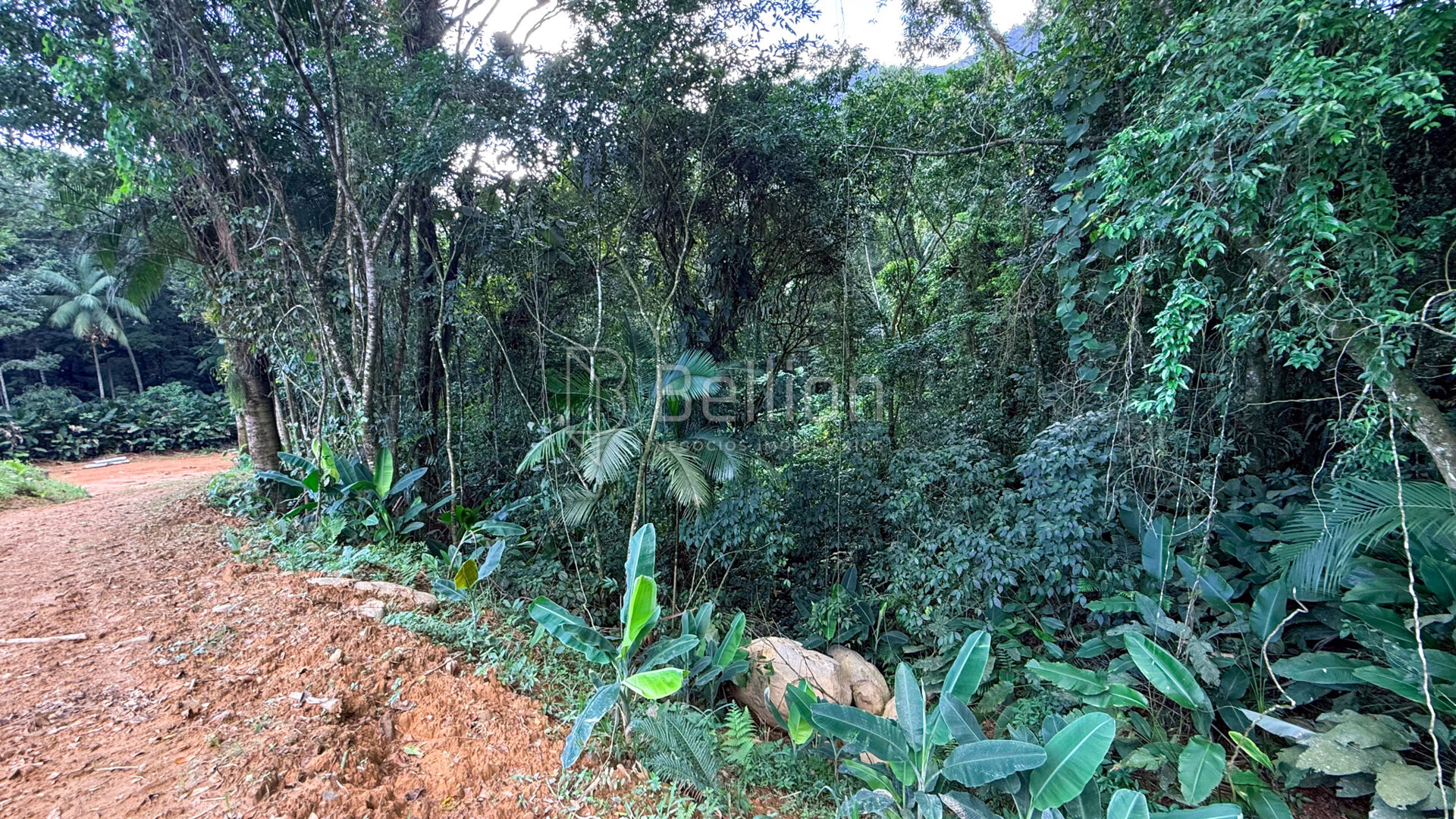 Terreno à venda em Rio dos Cedros - 45.000 m com potencial para sítio ou cabanas — foto 6